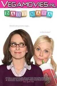 baby mama 2008