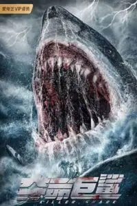 killer shark 2021