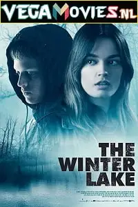the winter lake 2020