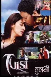 tulsi 2008